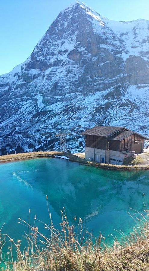 Lodge Bergrestaurant Kleine Scheidegg Eksteriør billede